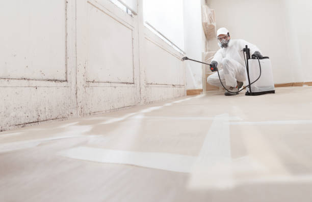 24/7 Emergency Commercial Mold Remediation experts in Columbia, TN